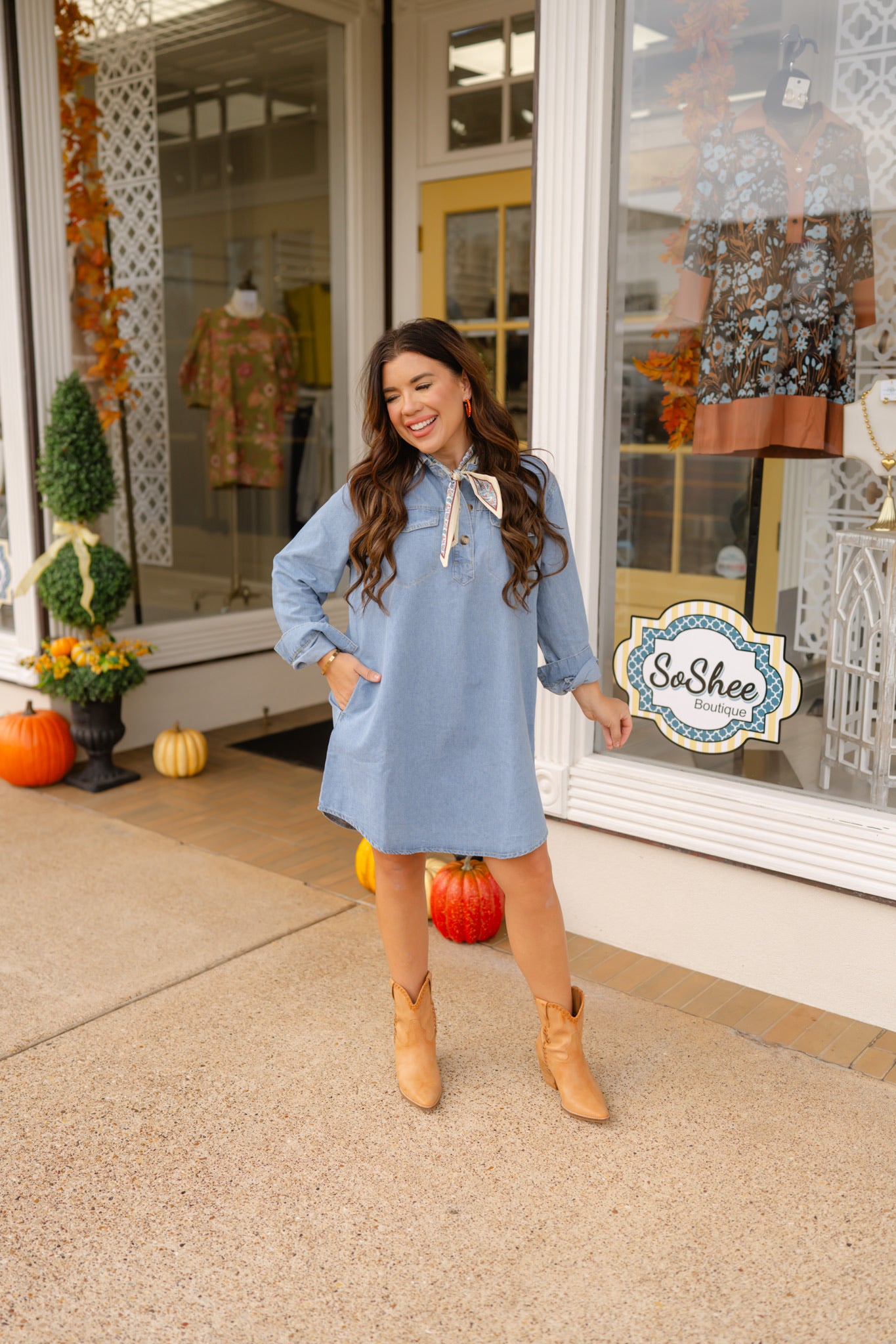 The Debbie Denim Dress